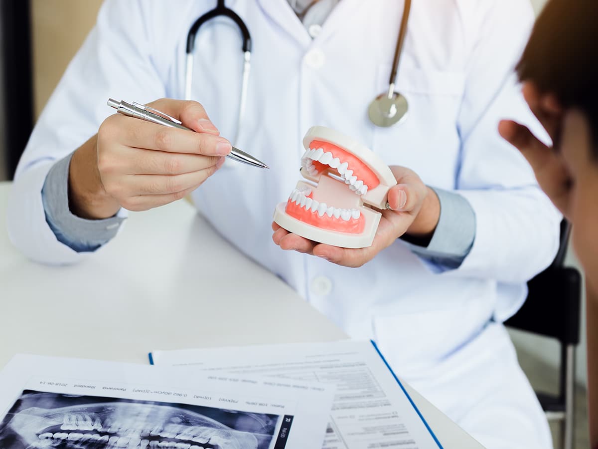 Image of a dentist with a teeth model